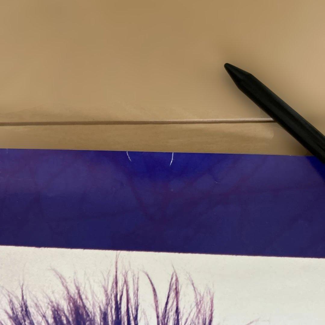 LUNA SEA インディーズ時代ポスター