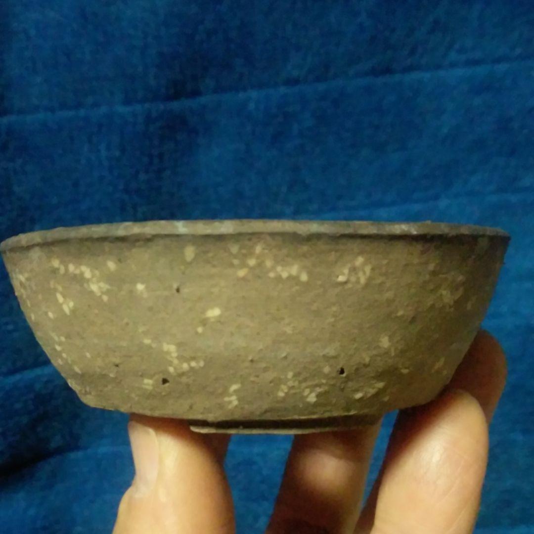 ミニ鉢、盆栽鉢、盆栽小鉢、植木鉢、山野草鉢、鉢、盆栽、東福寺