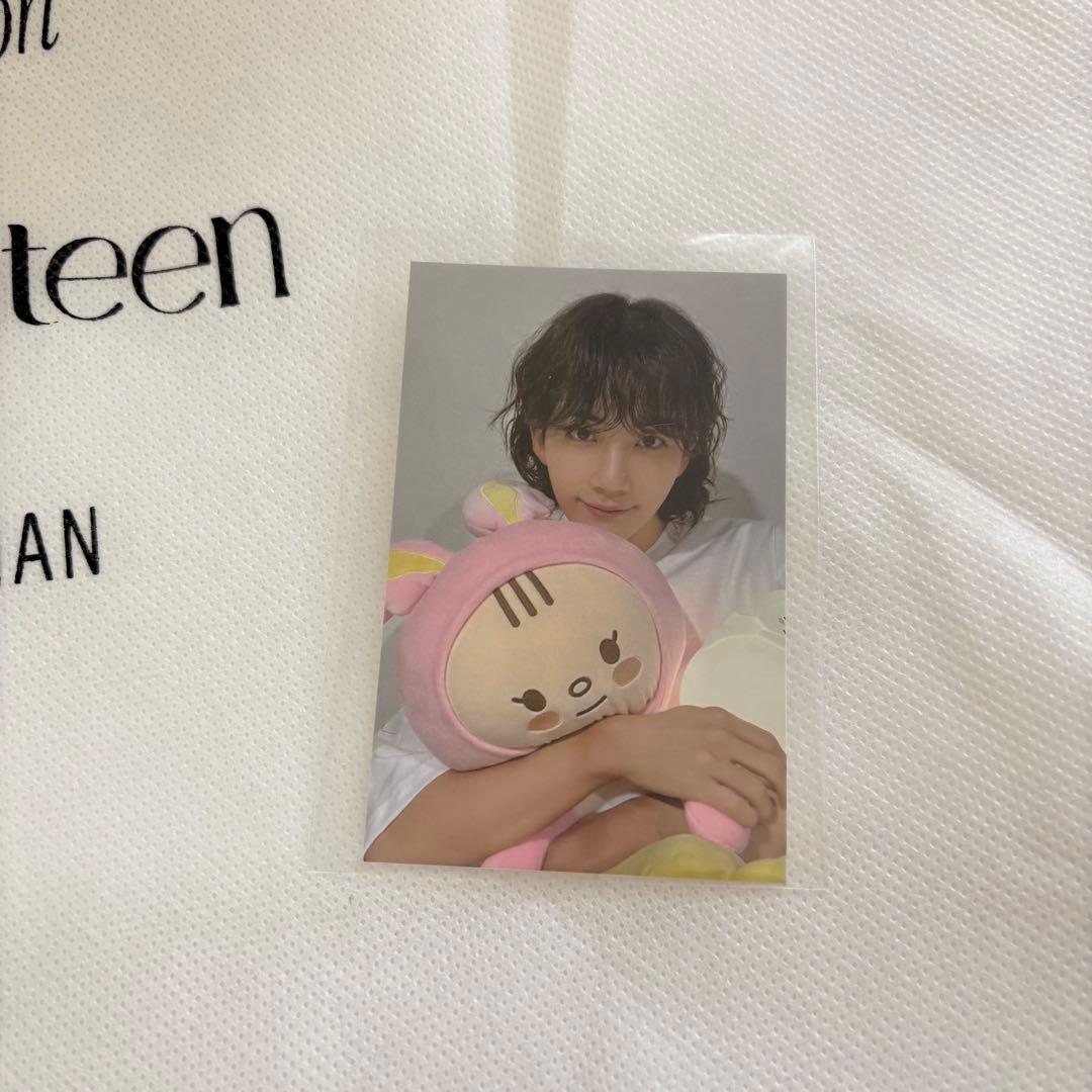 セブチ ジョンハン アーティストメイド トラム ぬいぐるみ