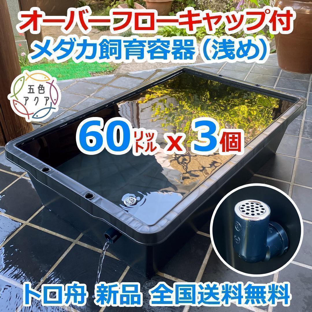 メダカ飼育ケース 60㍑x3個 トロ舟 オーバーフロー付 金魚飼育容器 越冬