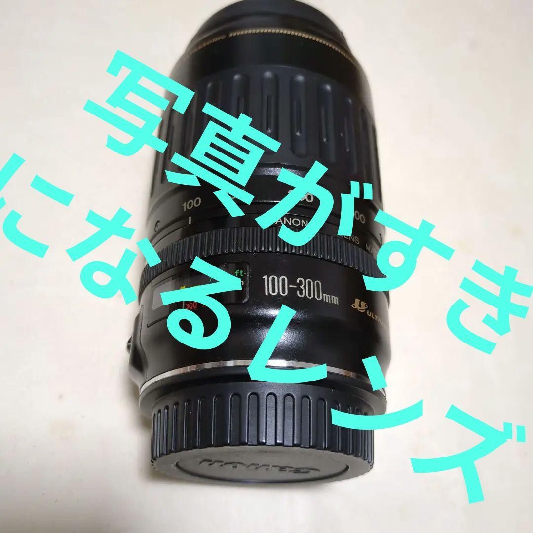 Canon EF 100-300mm f/4.5-5.6 レンズ