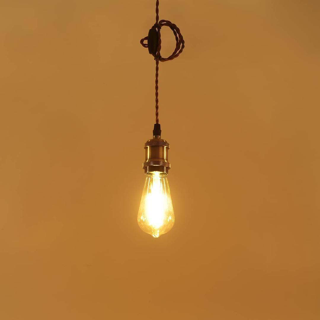 【M1857-69-45】ペンダントライト E26口金 LED電球付き エジソン