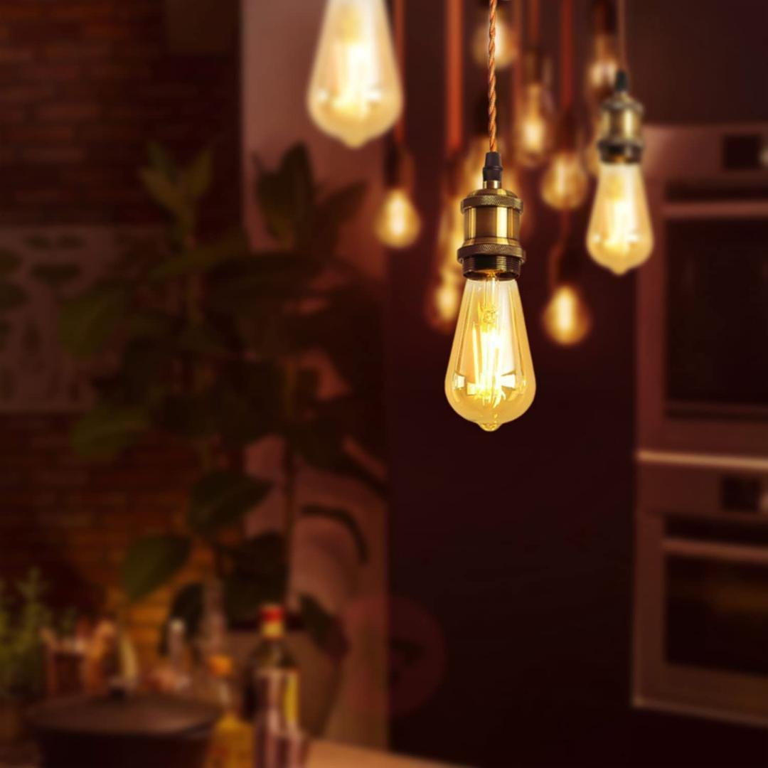 【M1857-69-45】ペンダントライト E26口金 LED電球付き エジソン