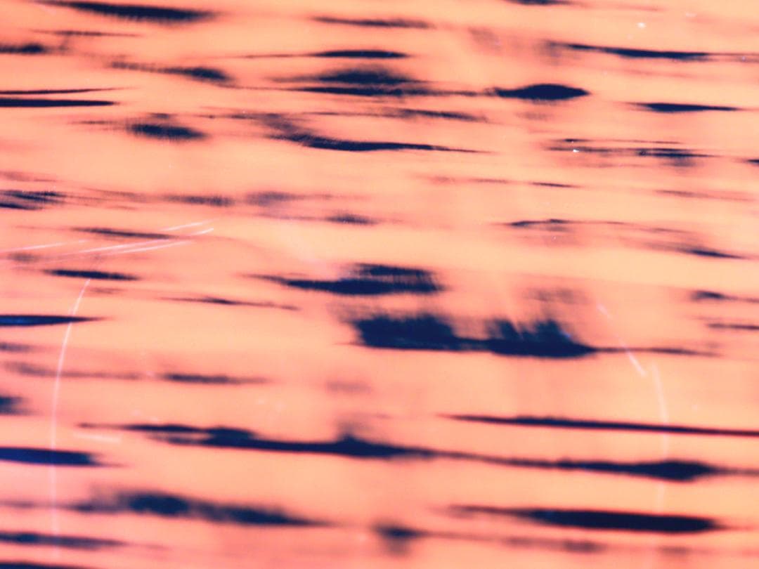 青紫園造 根来塗 脇取盆 共箱