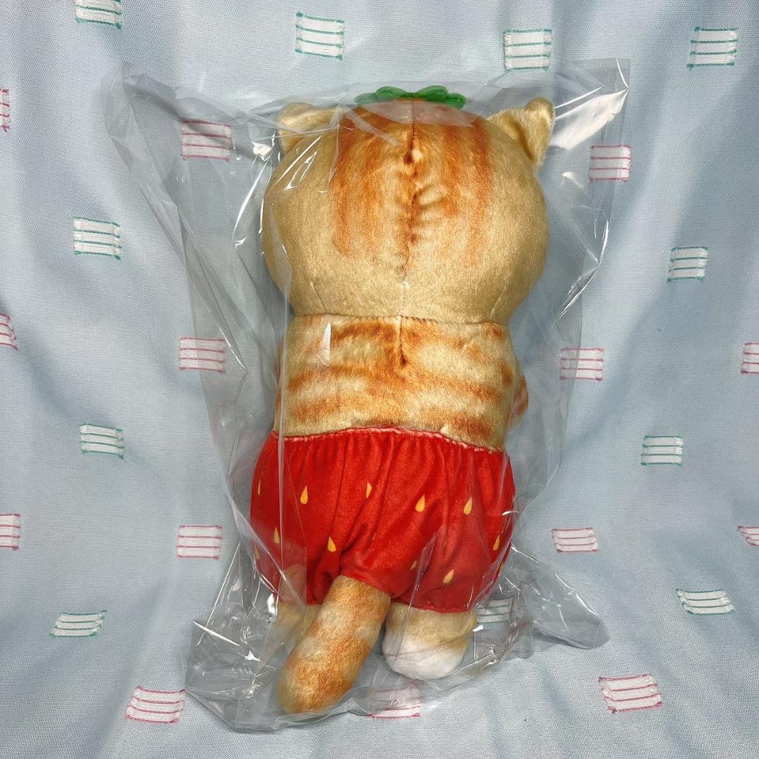 まとめ売り【モフサンドmofusand】フルーツにゃん BIGぬいぐるみ 5体