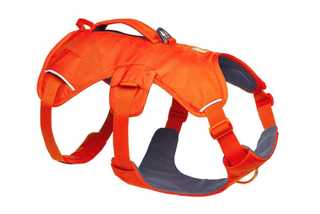 RUFFWEAR ラフウェア ウェブマスタードッグハーネス(SS25)
