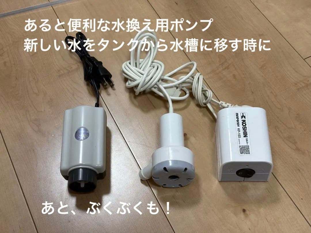 アクリル水槽60㎝【おまけ充実で初心者でも始めやすい】