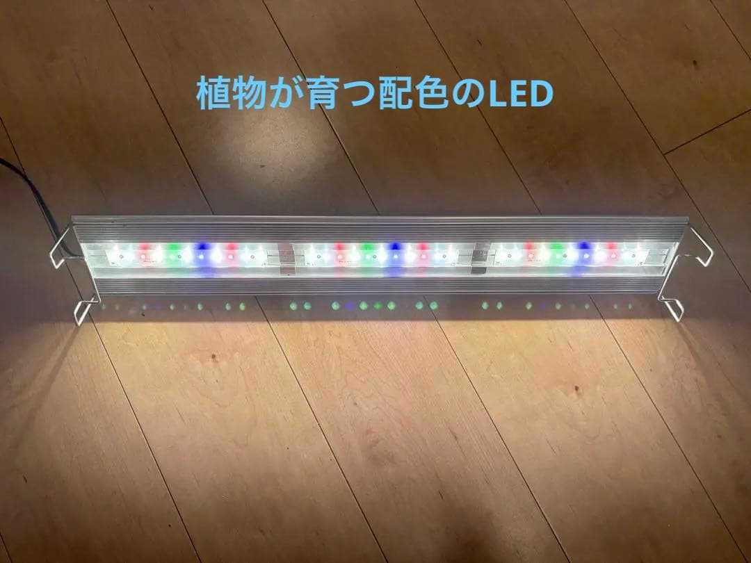 アクリル水槽60㎝【おまけ充実で初心者でも始めやすい】