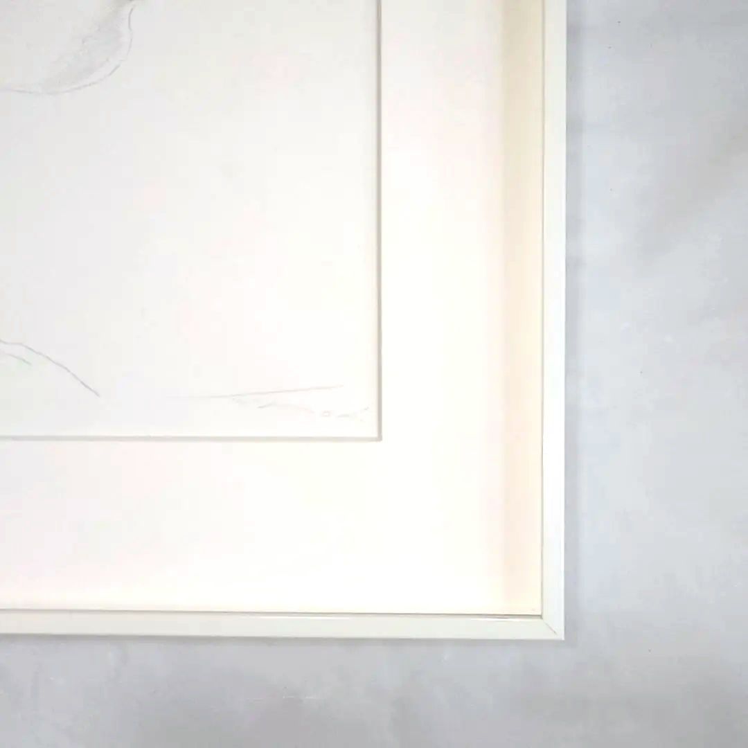 安冨洋貴（安富洋貴）人気の鉛筆画家　　　鉛筆画　希少　1点もの