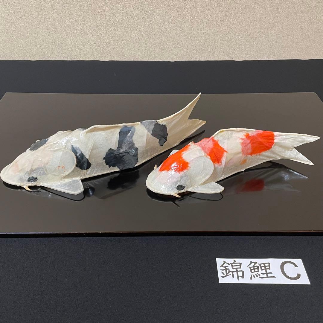 張子　錦鯉 C ツヤあり