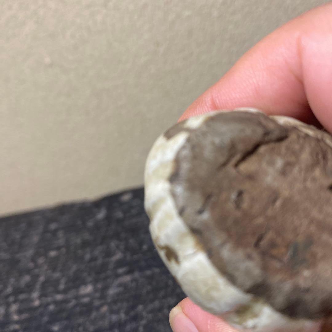 珍品　おふけ焼　大黒天水滴