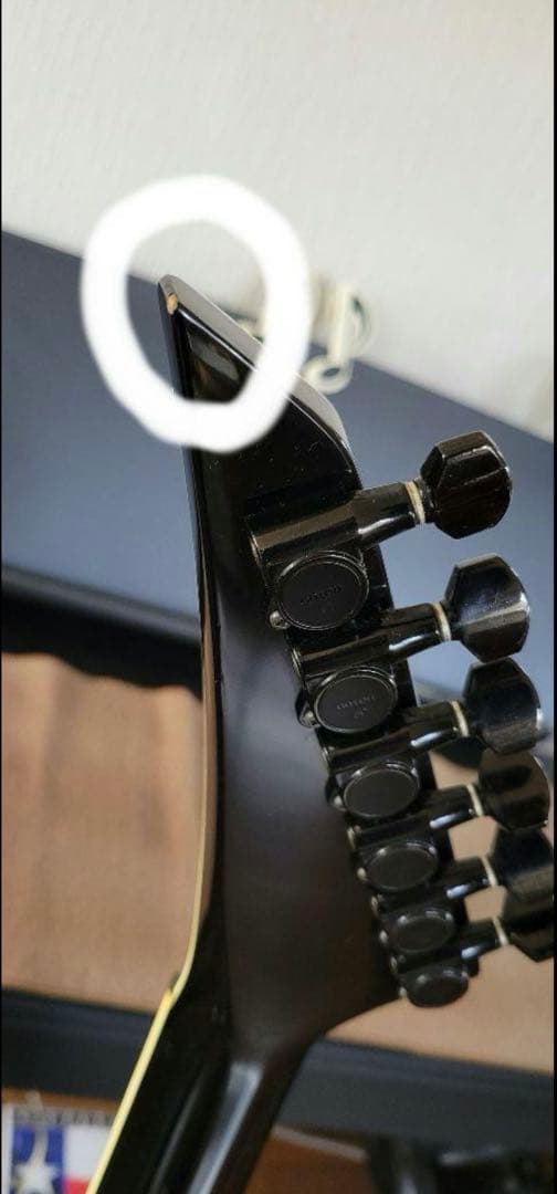 布袋寅泰モデル フェルナンデス TE-95H