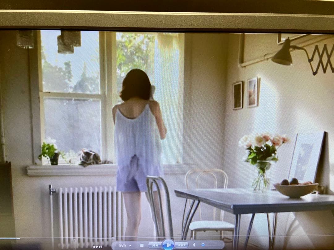 新垣結衣さん化粧品販促用店頭DVD