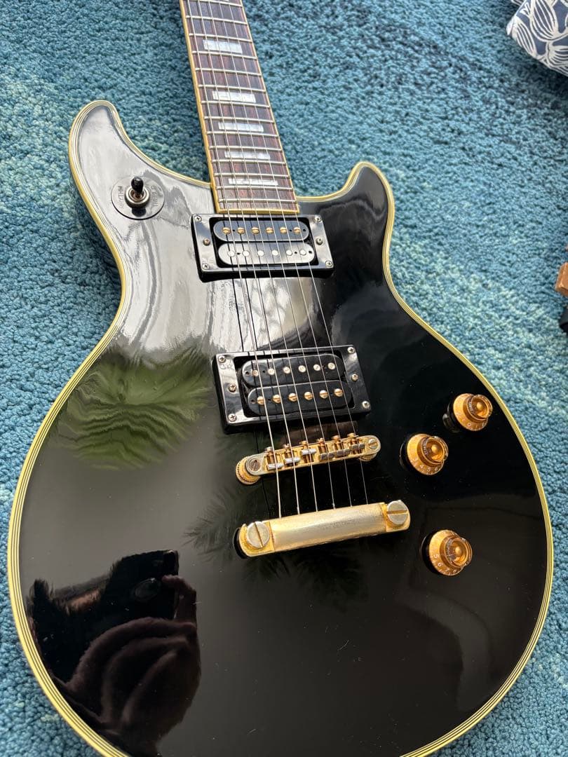 Epiphone Tak Matsumoto DC バーストバッカー#2,#3