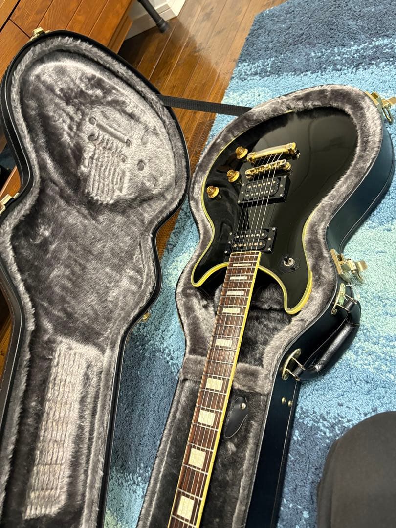 Epiphone Tak Matsumoto DC バーストバッカー#2,#3