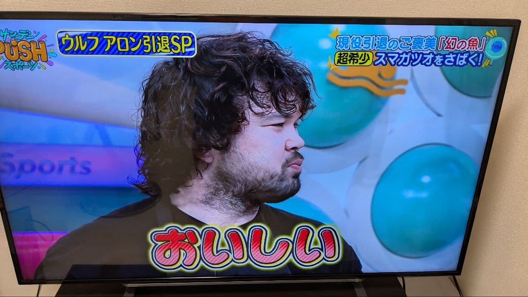 ［ジャンク］TOSHIBA REGZA 49インチ 液晶テレビ 49G20X