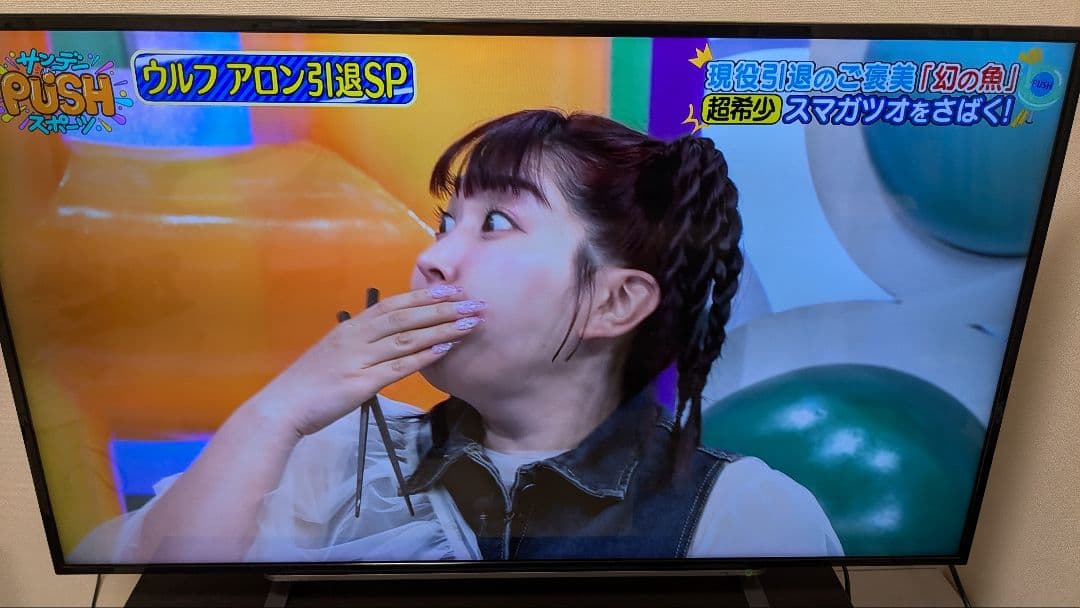 ［ジャンク］TOSHIBA REGZA 49インチ 液晶テレビ 49G20X