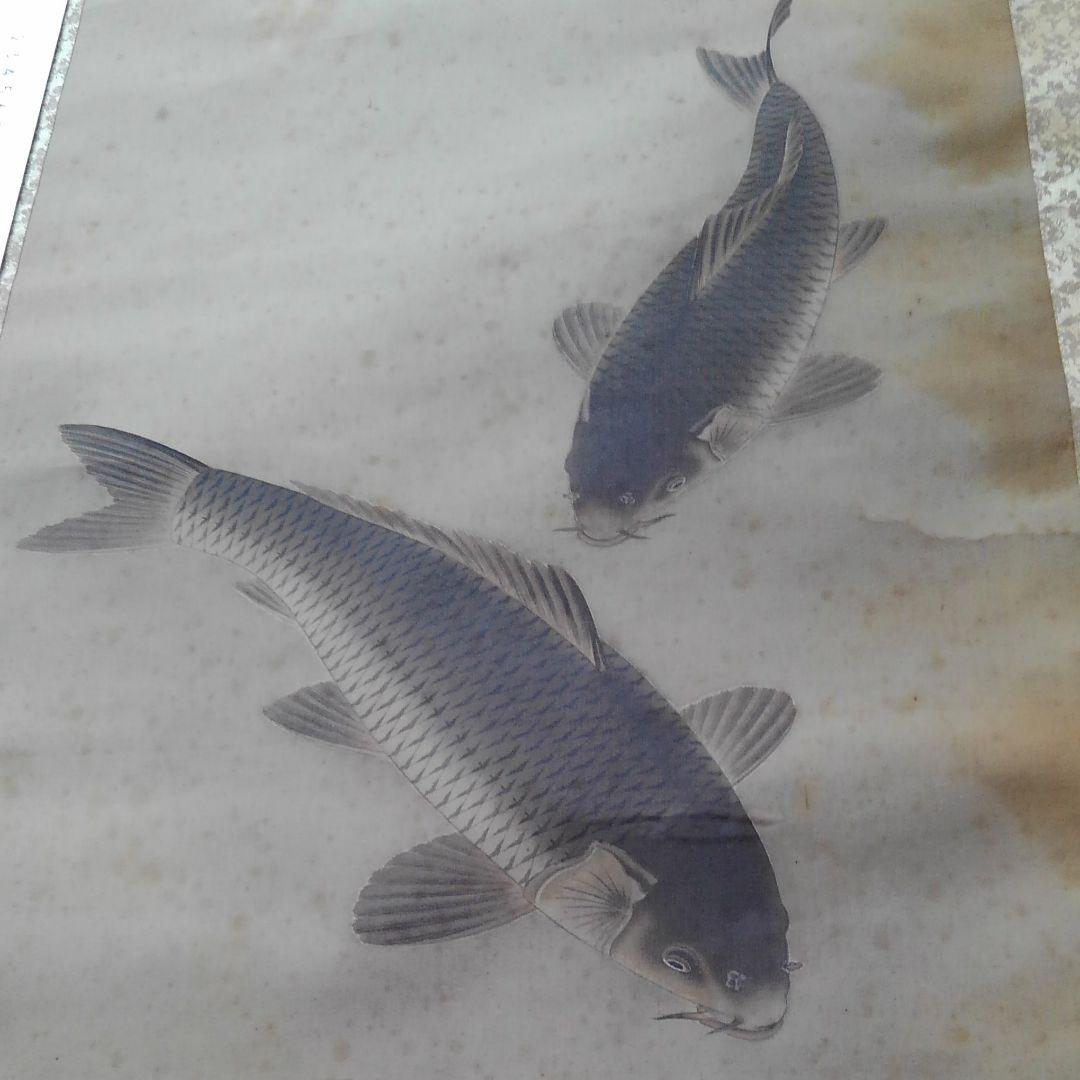 鳥取県因幡物、因幡鯉の掛け軸