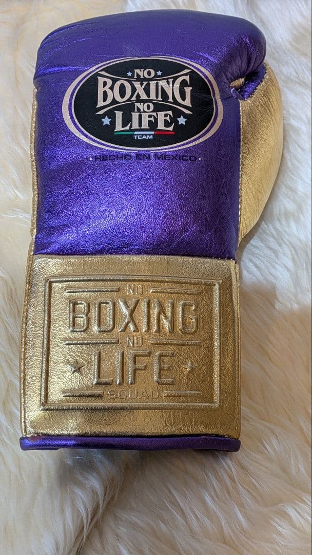 ノーボクシングノーライフ 世界戦公式グローブ ８oz