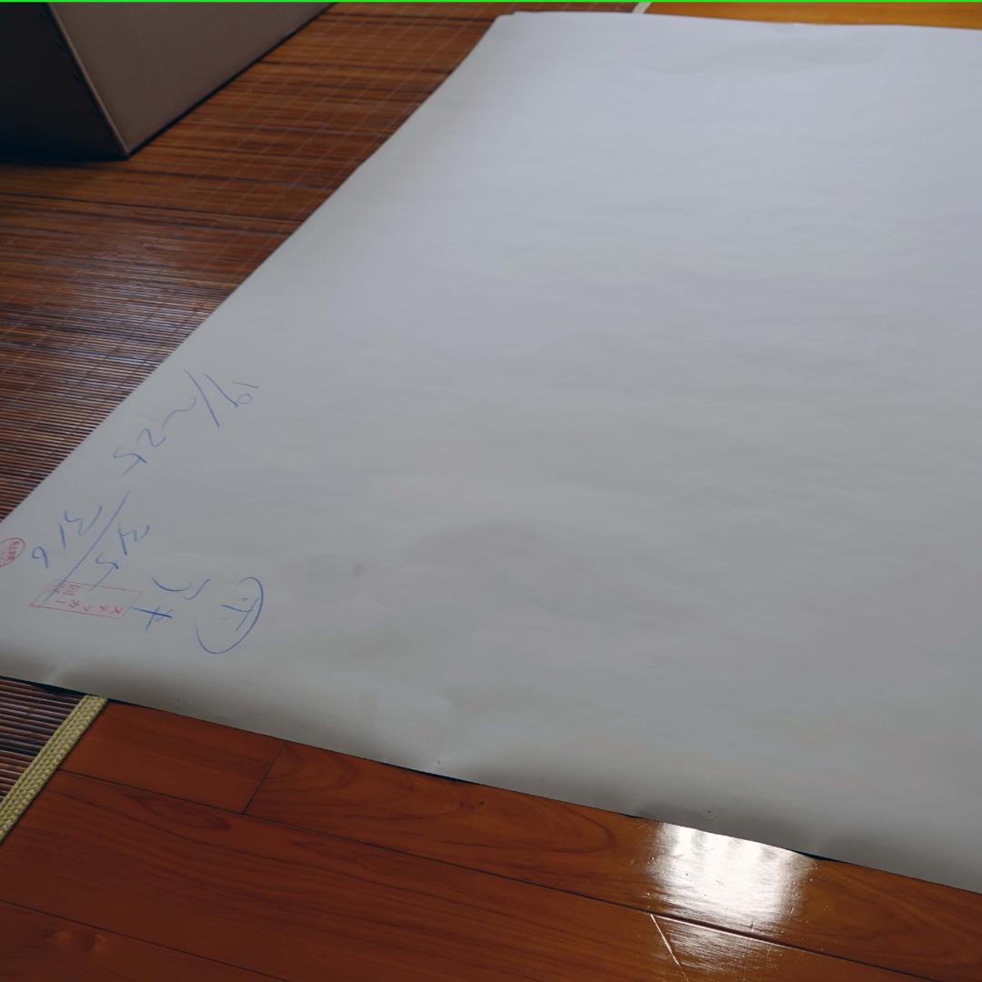 【実使用・超大型ポスター】米倉涼子　富士フィルム・ネクシアQ1　B0　ピン穴あり