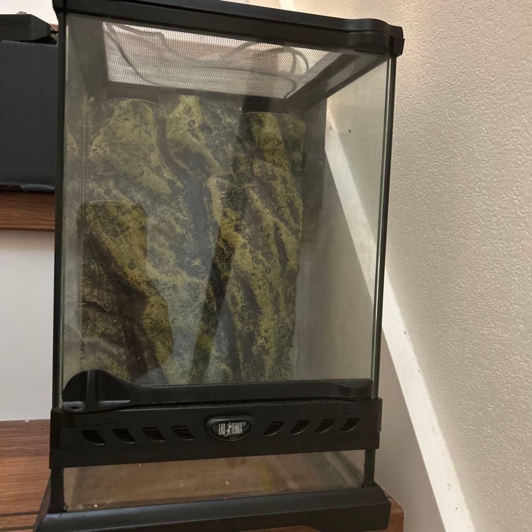 メルカリ市限定価格　EXOTERRA 爬虫類飼育セット