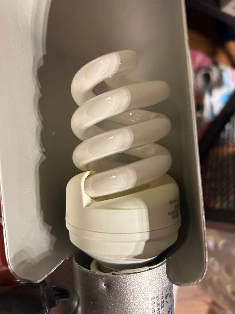 メルカリ市限定価格　EXOTERRA 爬虫類飼育セット