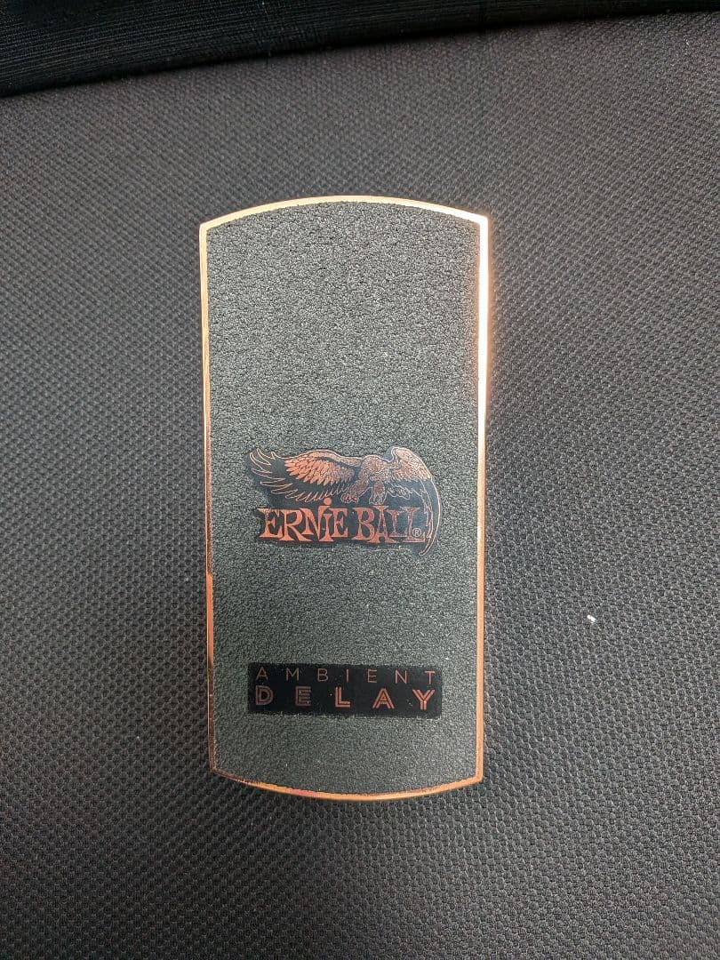Ernie Ball Ambient Delay エフェクター