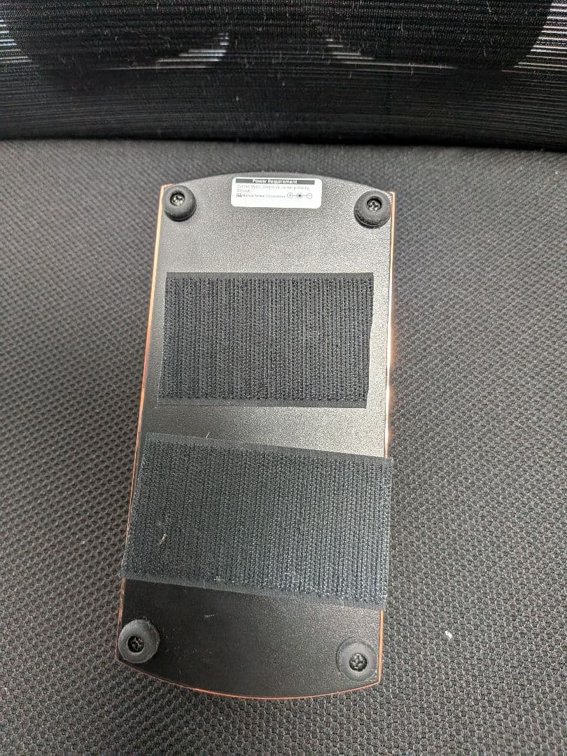 Ernie Ball Ambient Delay エフェクター