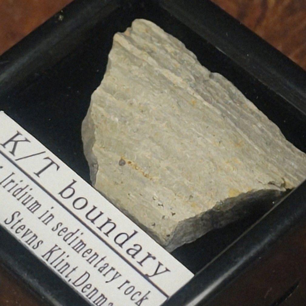 １万円値引き✨入手不可！小惑星のかけら Ｋ-Ｔ境界層（K/Pg境界頁岩）標本大