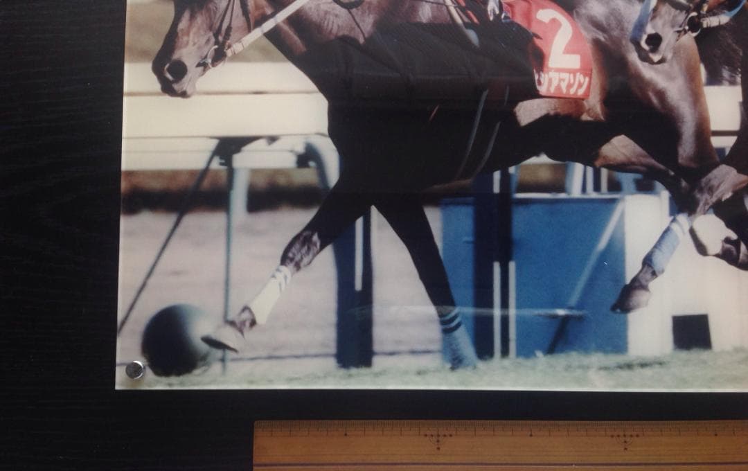 競馬パネル：ヒシアマゾン「1995年第41回産経賞オールカマー」