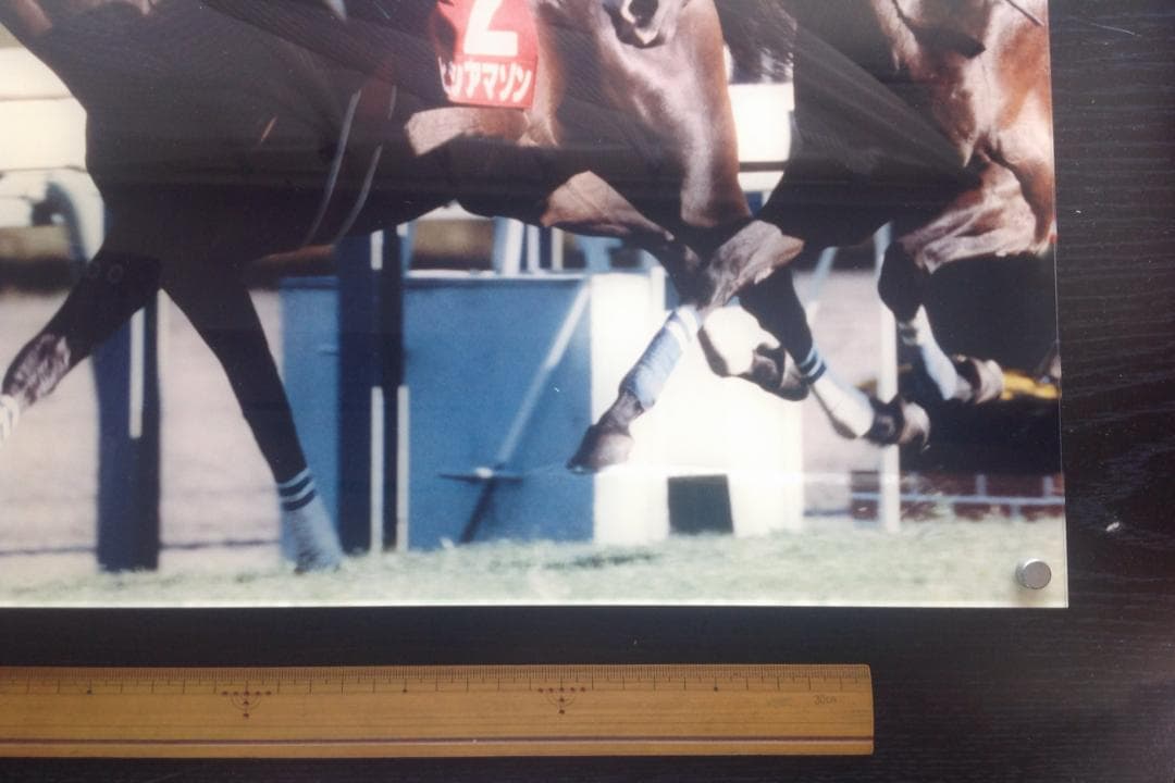 競馬パネル：ヒシアマゾン「1995年第41回産経賞オールカマー」