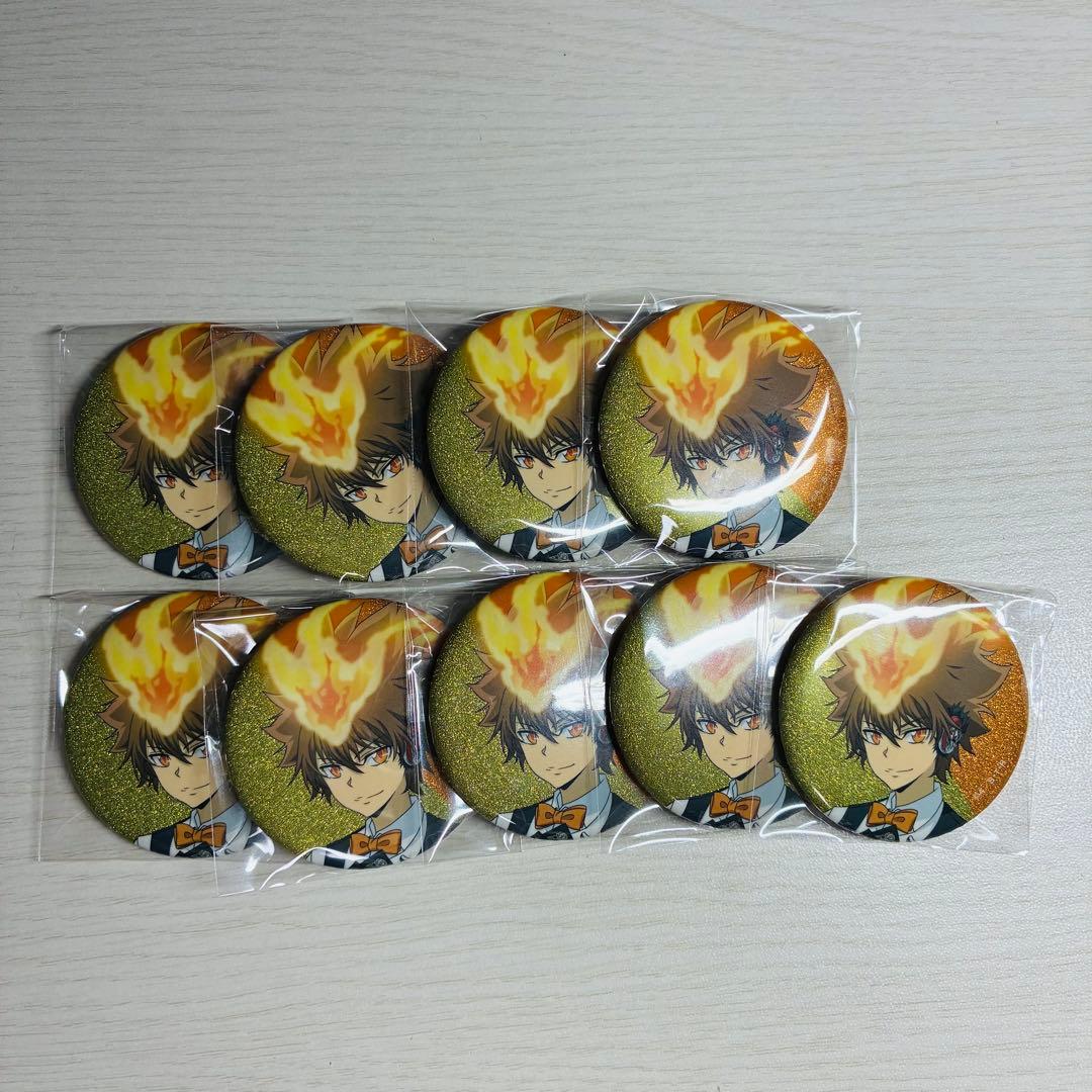 REBORN 沢田綱吉 カジノ アニメイトフェア グリッター缶バッジ 9点