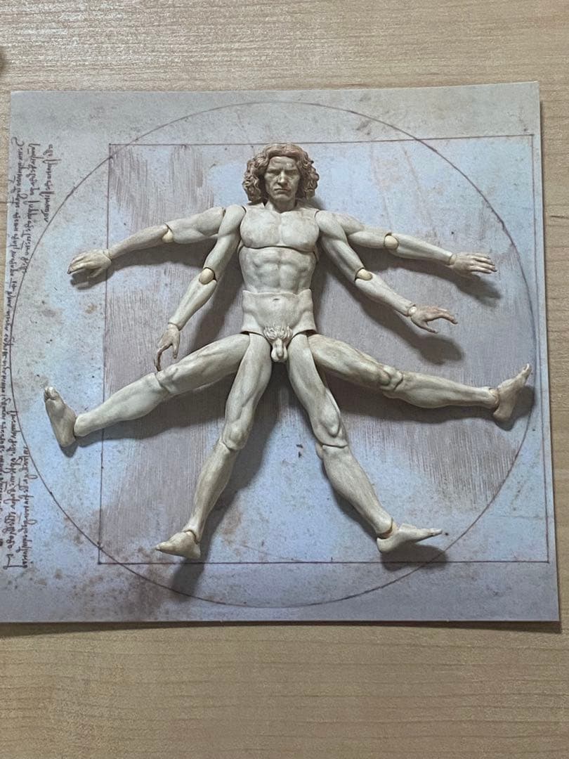 figma テーブル美術館 ダ・ヴィンチ 人体模型 スタンド付き 約30cm