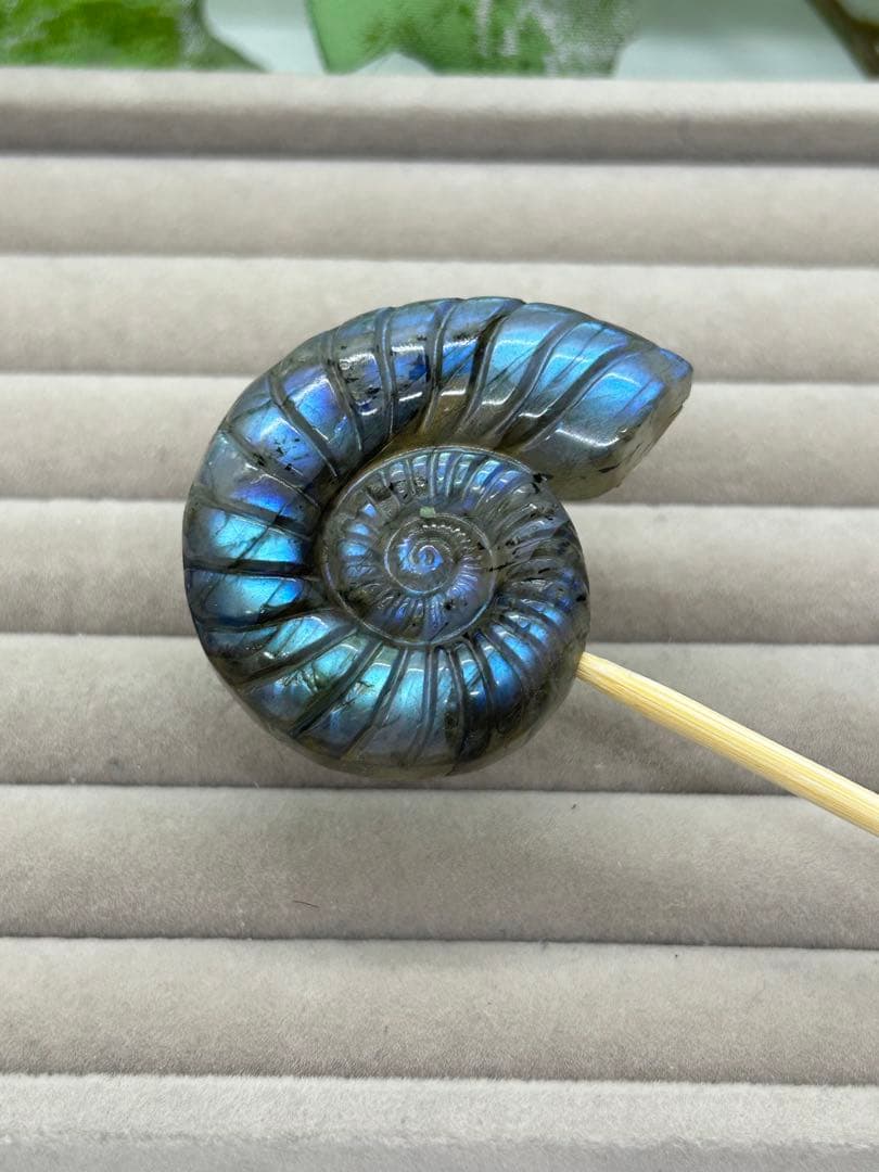 天然石ラブラドライト　アンモナイトのかたちパーツ　No.1258