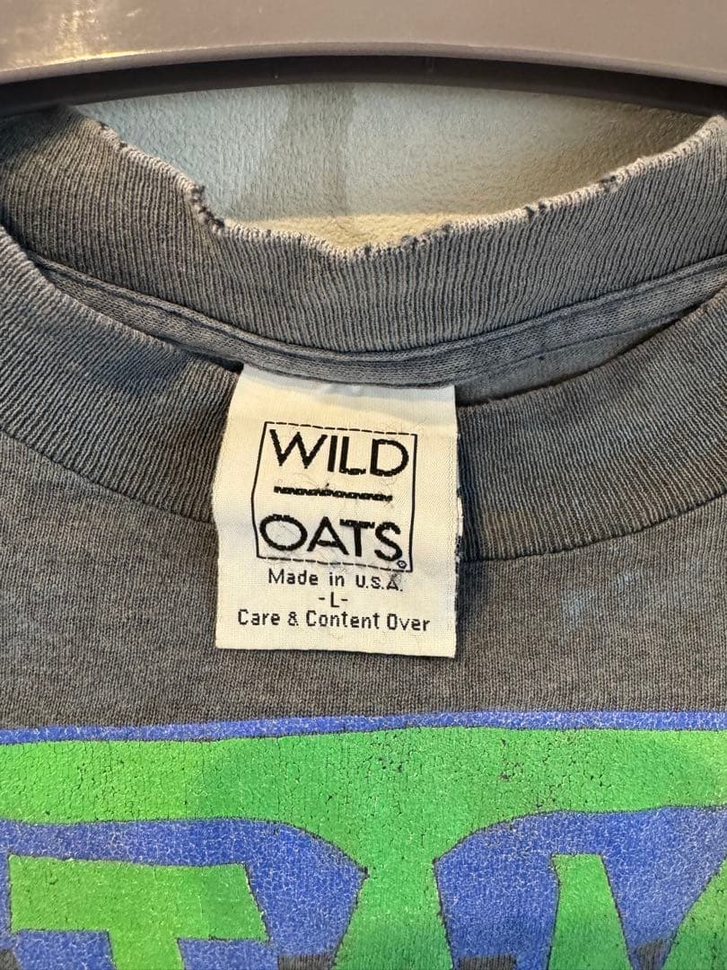 TESTAMENT Tシャツ Lサイズ グレー