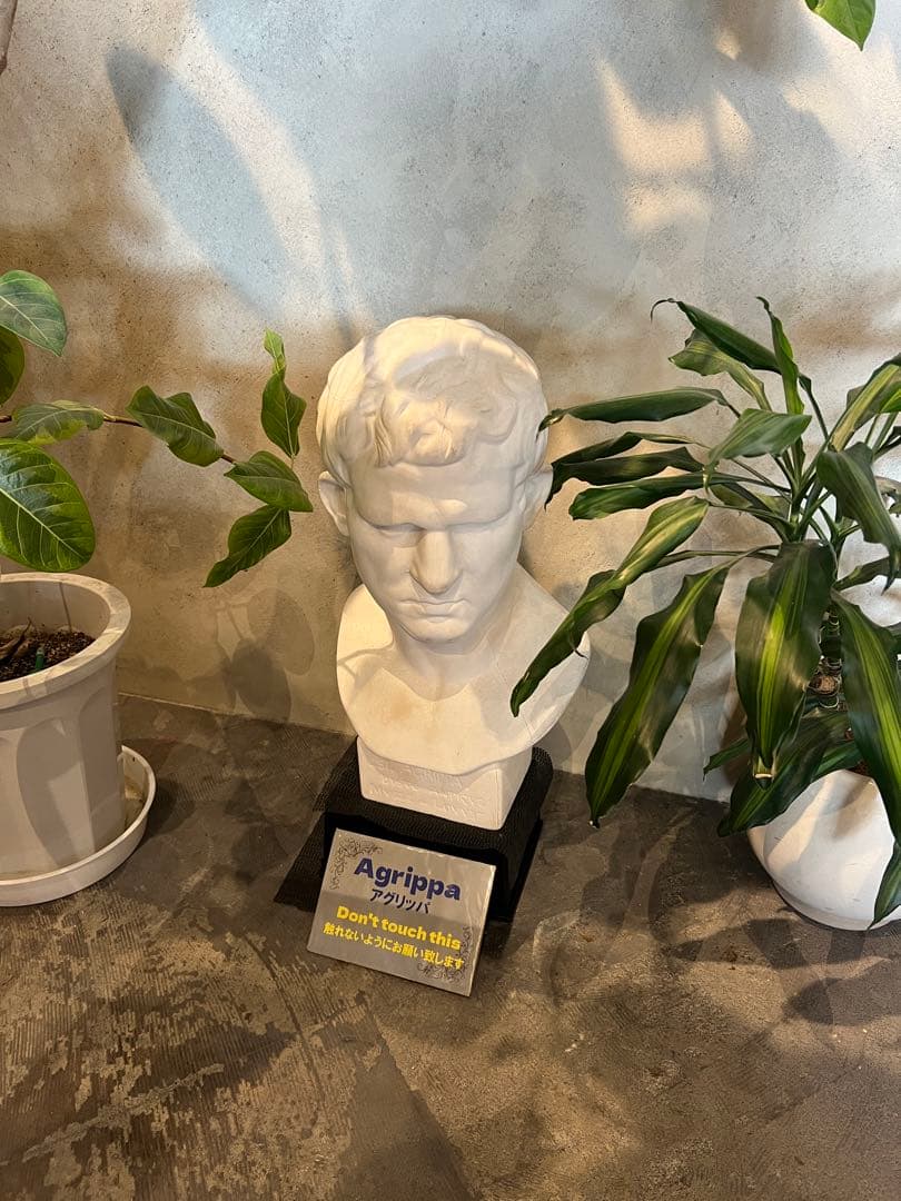 ラナ　アメリカのナンバープレートコレクション