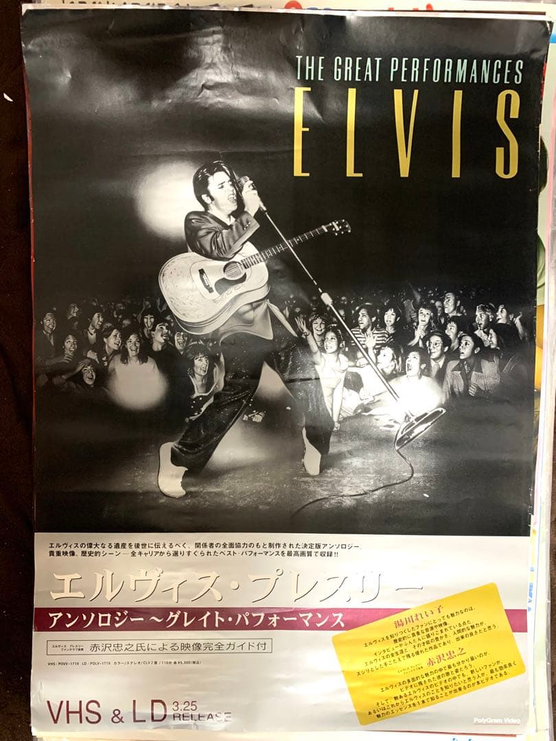 エルビス・プレスリー　ビデオソフト販促用　Ｂ２ポスター
