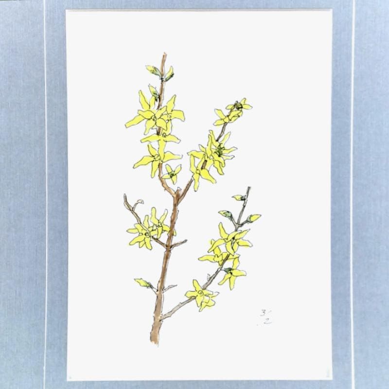 ☆ 坂本直行 ☆「 れんぎょう 」水彩画　1982年3月作　証明書有り　未使用！