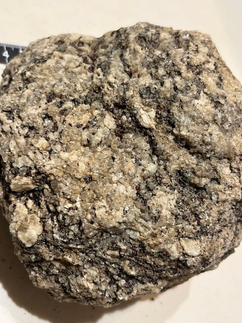 D 南極 南極の石 しらせ  昭和基地 南極観測船　ふじ