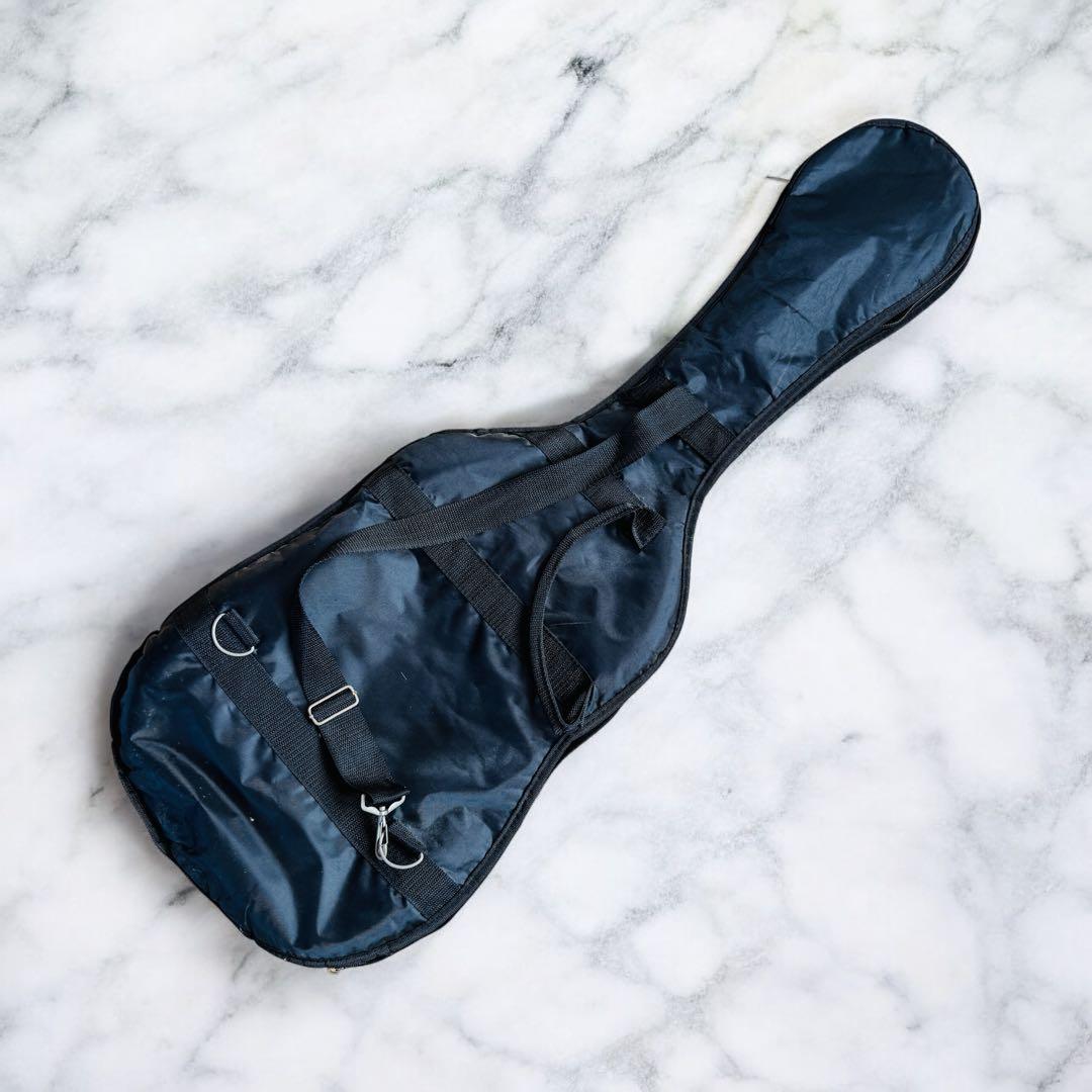 Bacchus バッカス　universe series ストラトキャスター