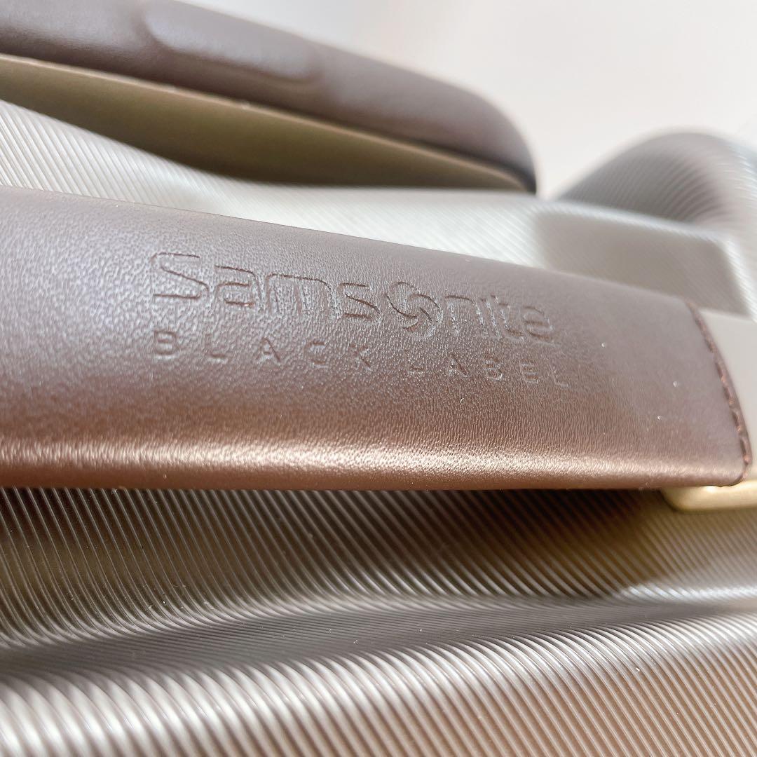 【廃盤希少品】サムソナイト　ブラックレーベル　ハンプトン　LLサイズ　キャリー