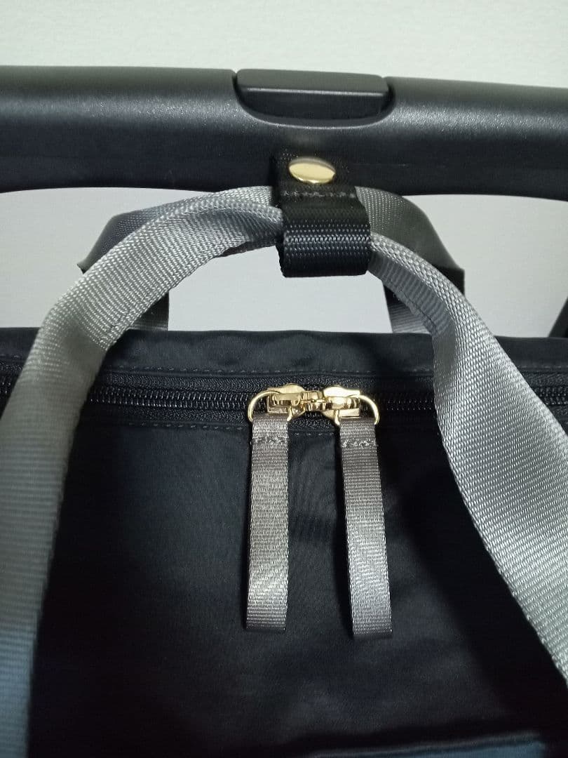 SWANY キャリーカート ネイビー