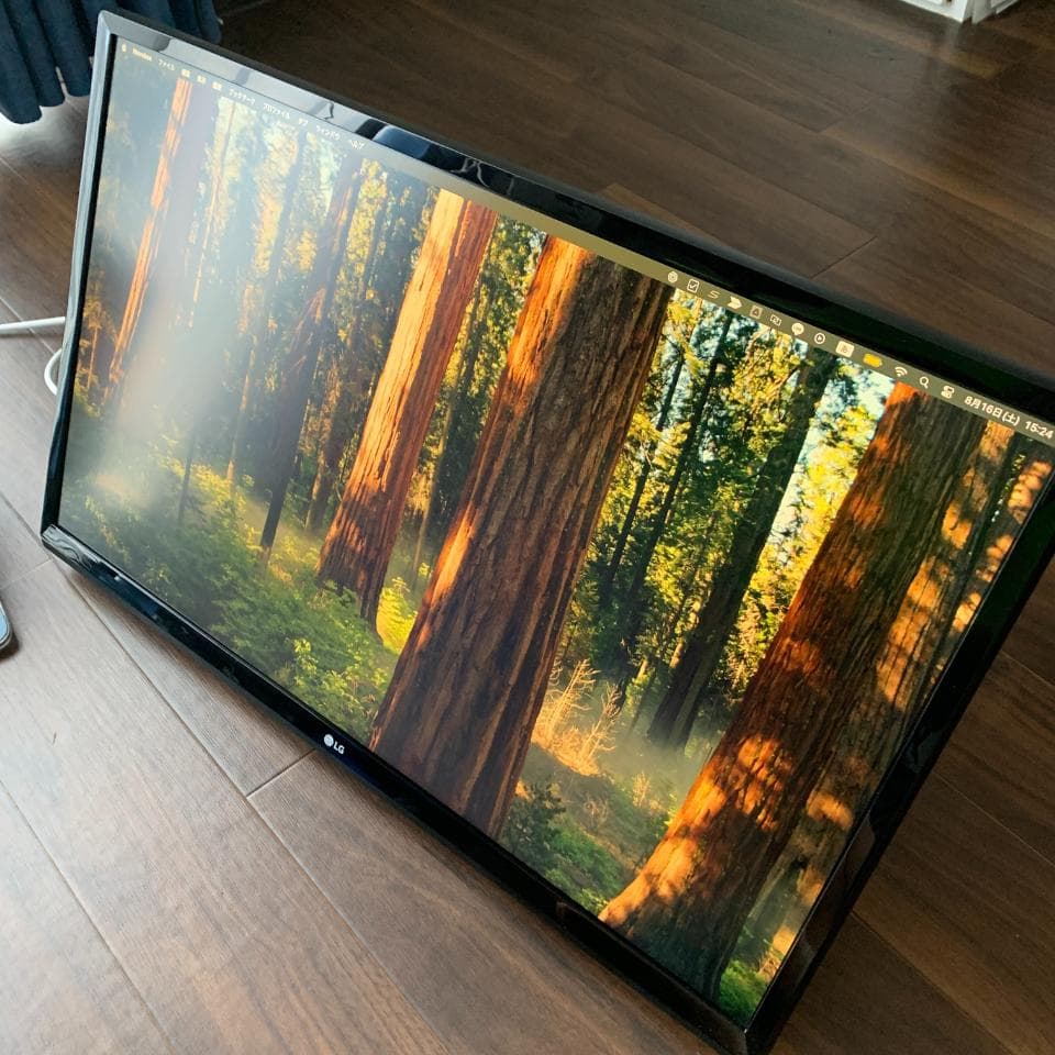 LG モニター ディスプレイ 24UD58-B 23.8インチ/4K