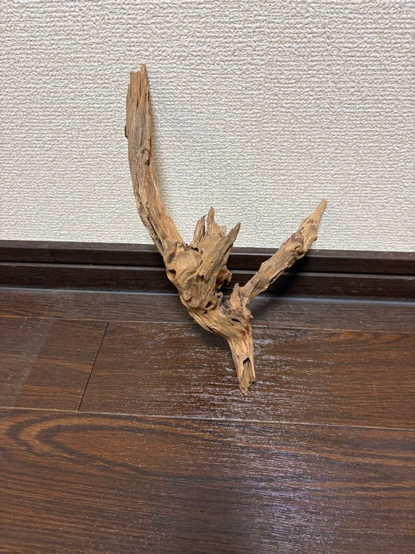 ADA ホーンウッド　7本まとめ売り