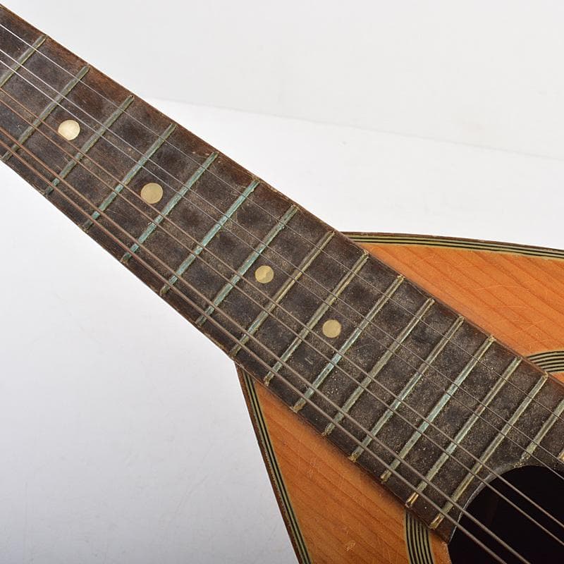 SUZUKI　マンドリン　楽器　弦楽器　N　R6138C