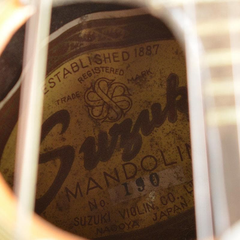 SUZUKI　マンドリン　楽器　弦楽器　N　R6138C