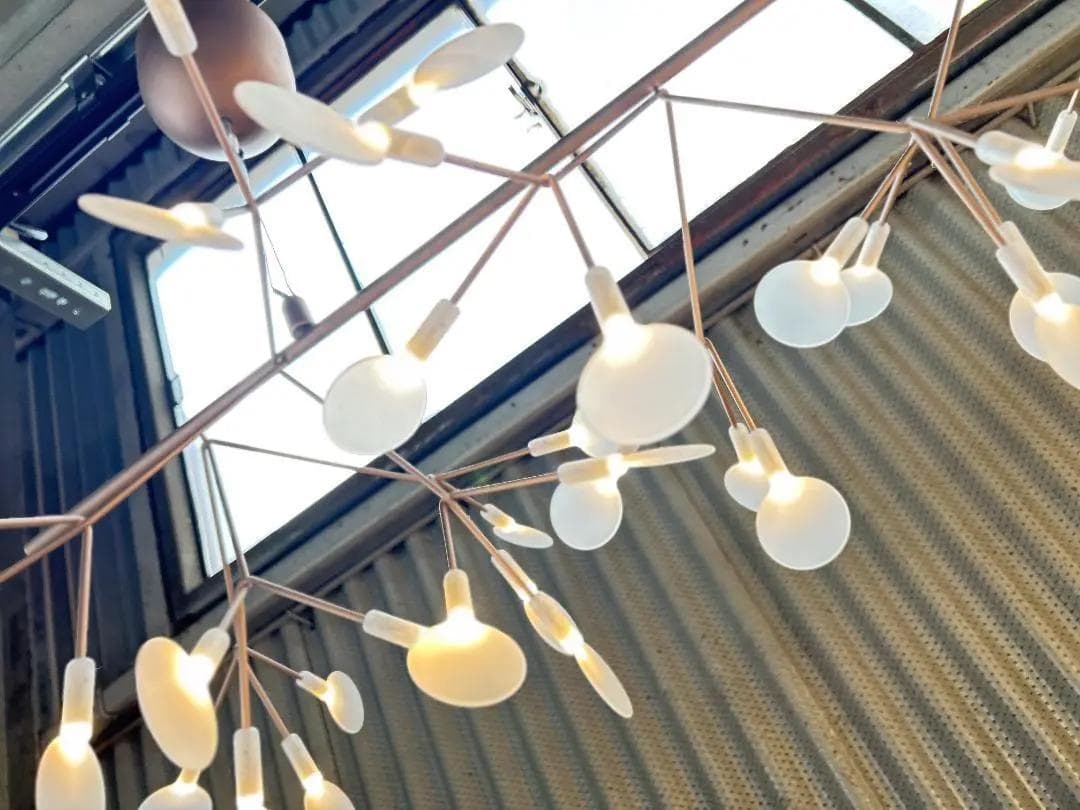 【美品】mooi / モーイ｜ヘラクレウムエンドレス｜ペンダントライト