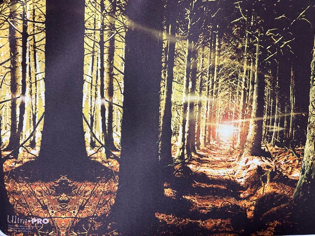 MTG 森　プレイマット　オンスロート　サイン入り