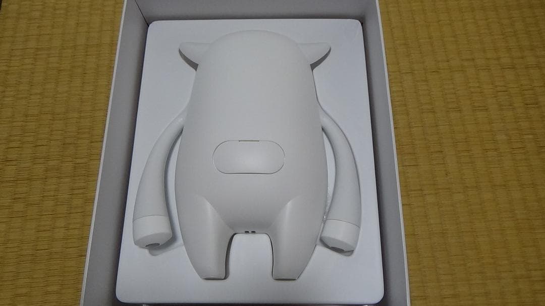 新品Musio(充電器含む) 、中古Sophy、使用教材　英会話ロボットセット