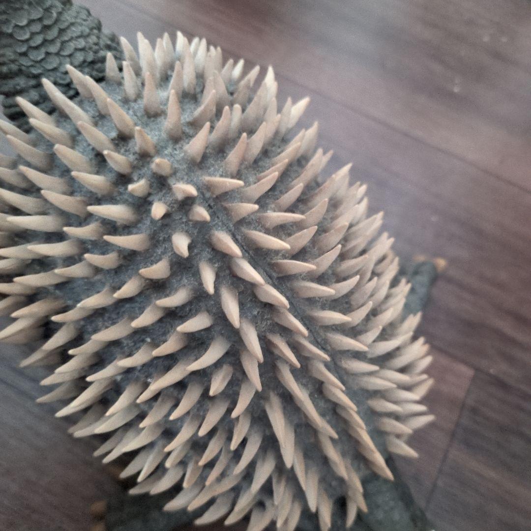 エクスプラス 大怪獣シリーズ　アンギラス